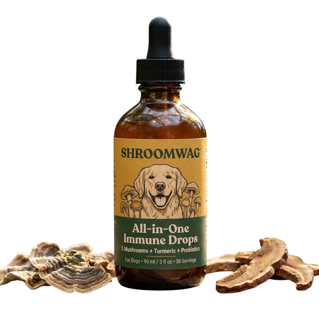Shroomwag All-in-One Immune Drops for dogs — amber dropper bottle